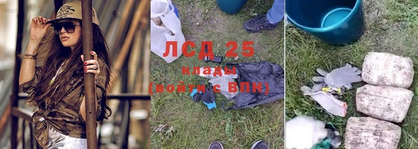 стаф Нея
