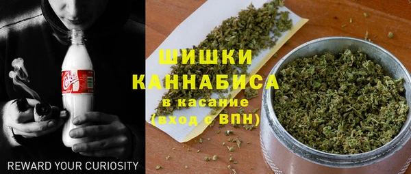 стаф Нея