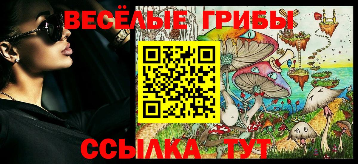 Псилоцибиновые грибы прущие грибы  Вход с VPN  Фролово 