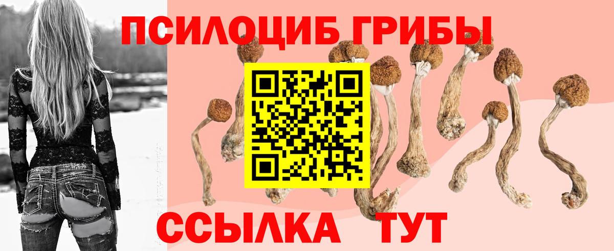 Галлюциногенные грибы Psilocybine cubensis  Фролово 